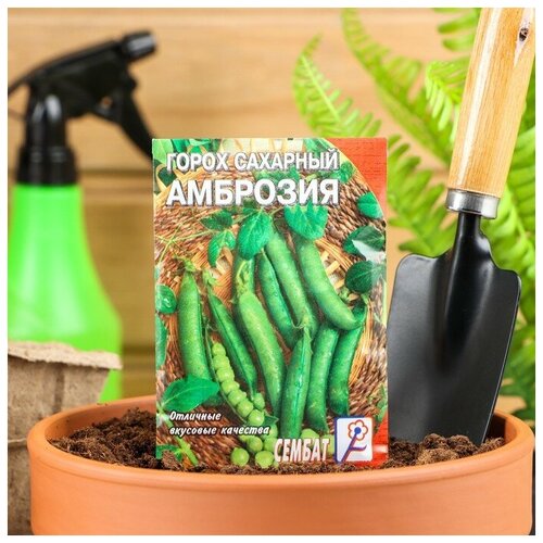 Семена Горох 