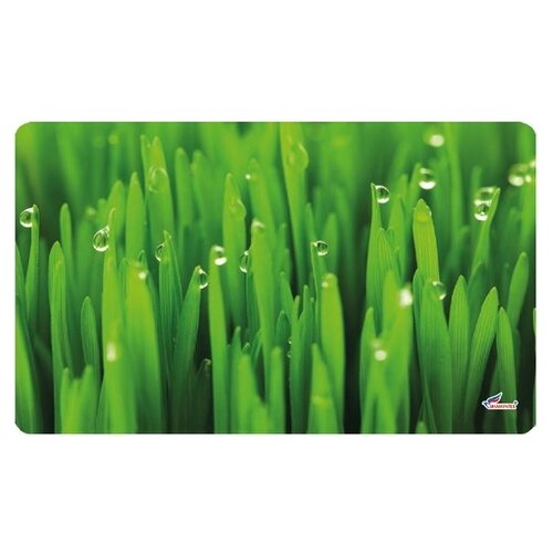 Ковер Shahintex Spring Photoprint SH P131, размер: 0.75х0.45 м, зеленый