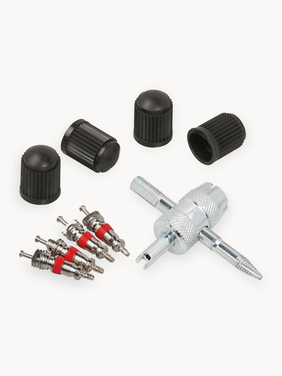 Ремкомплект для вентилей (4 золотника, 4 колпачка на вентиль, метчик) в кейсе AIRLINE ATRS003