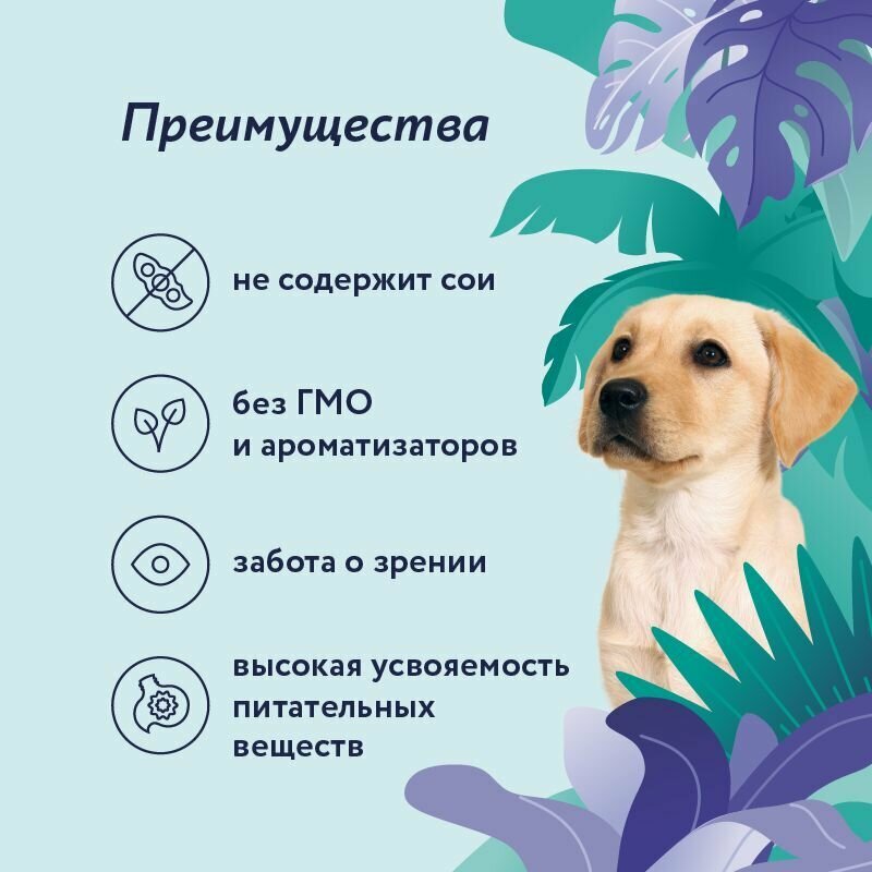 FLORIDA Консервы для щенков "Ягненок с черникой", Влажный корм, 6 шт. по 400 гр. — фото 1