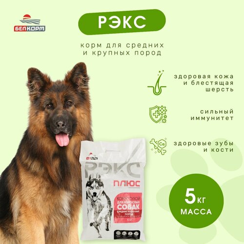 Полнорационный сухой корм для собак Рэкс Плюс (Рекс 5 кг)