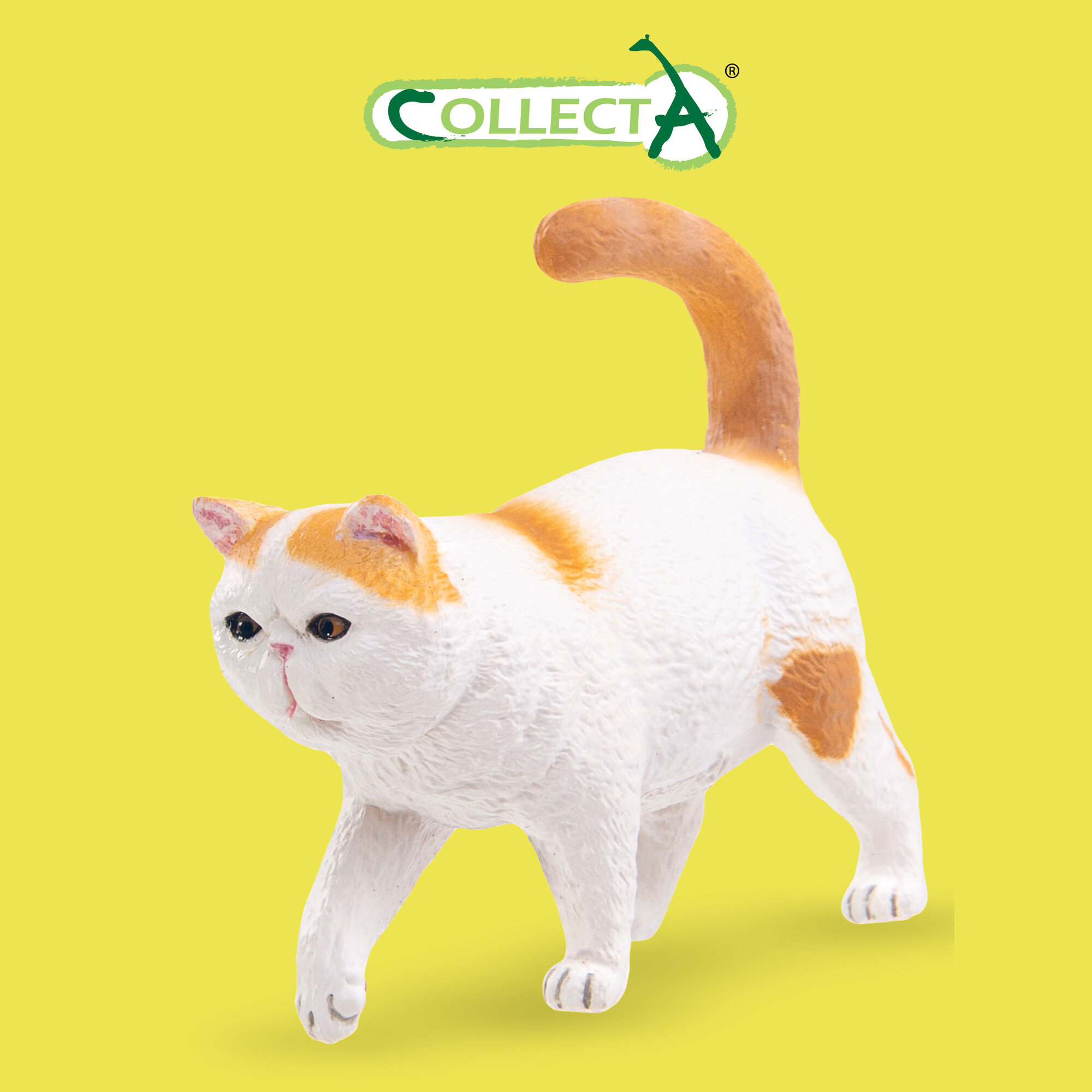 фото Фигурка животного Collecta, Экзотическая короткошерстная кошка