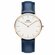Наручные часы Daniel Wellington Classic Somerset