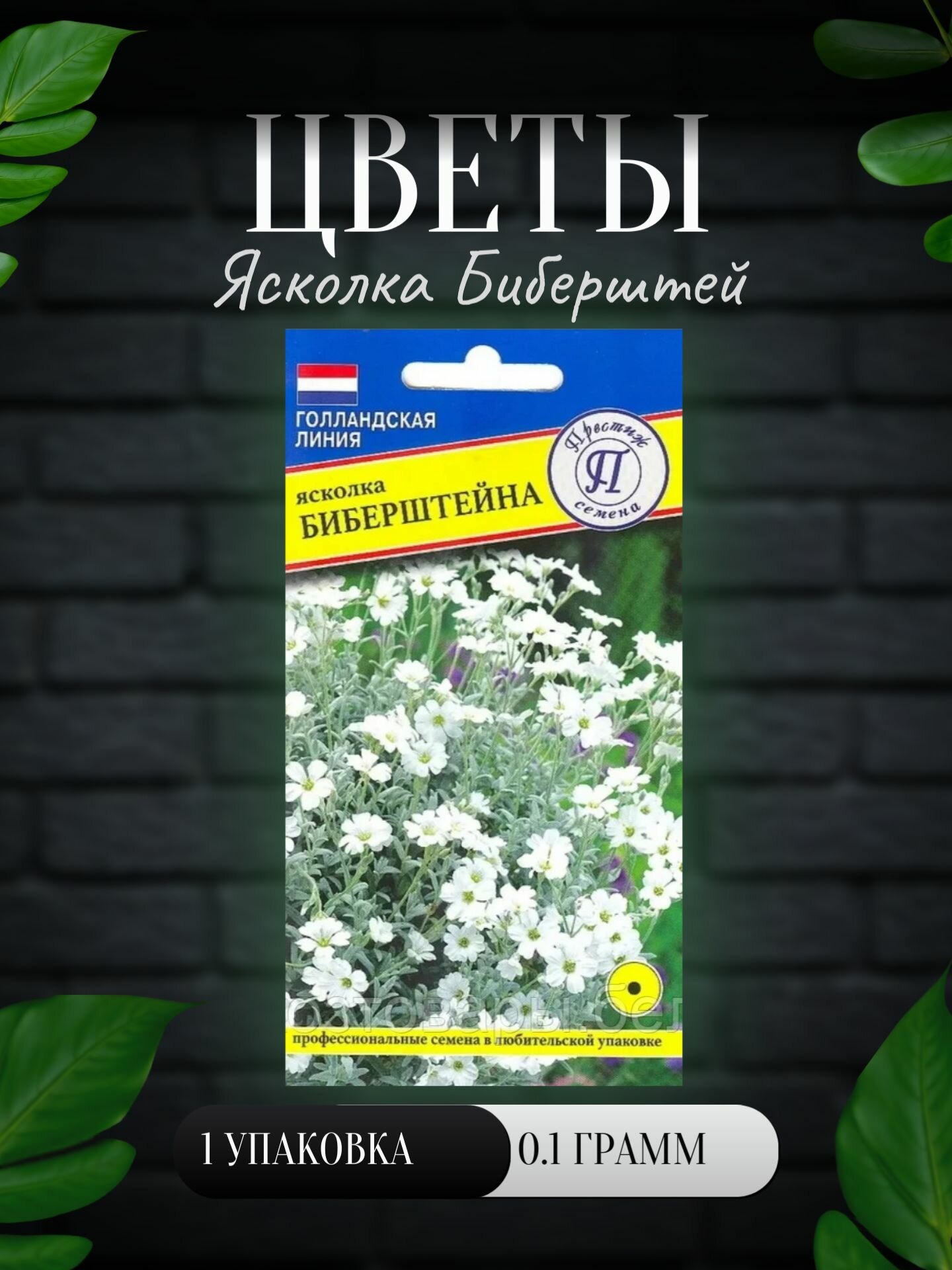 Цветы Ясколка Биберштейна 01г/ Престиж