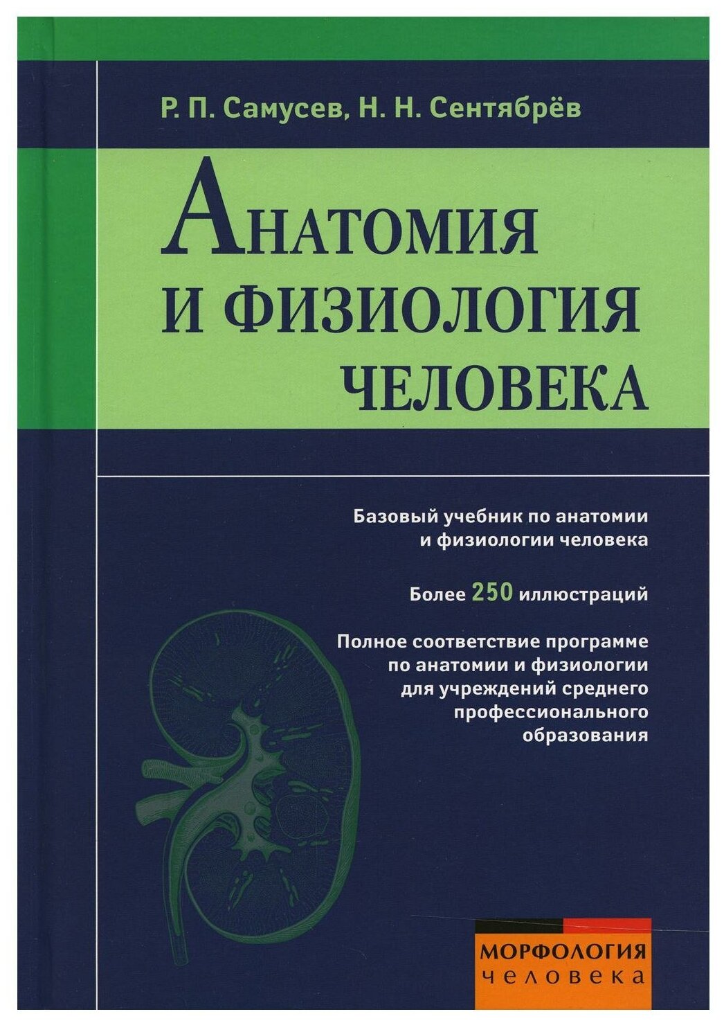 Анатомия и физиология человека: учебное пособие - фото №1