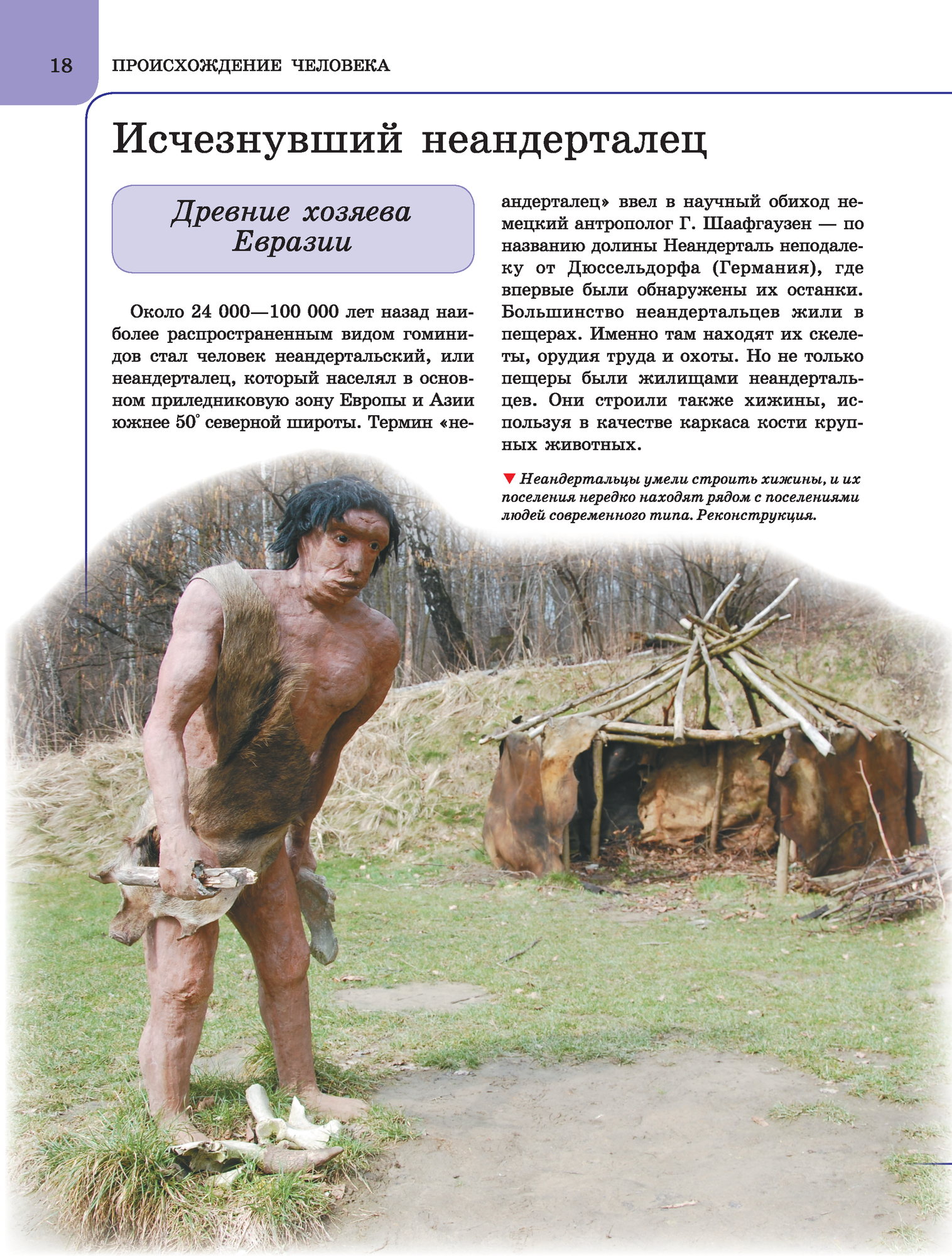 Книга Человек (Спектор Анна Артуровна) - фото №19