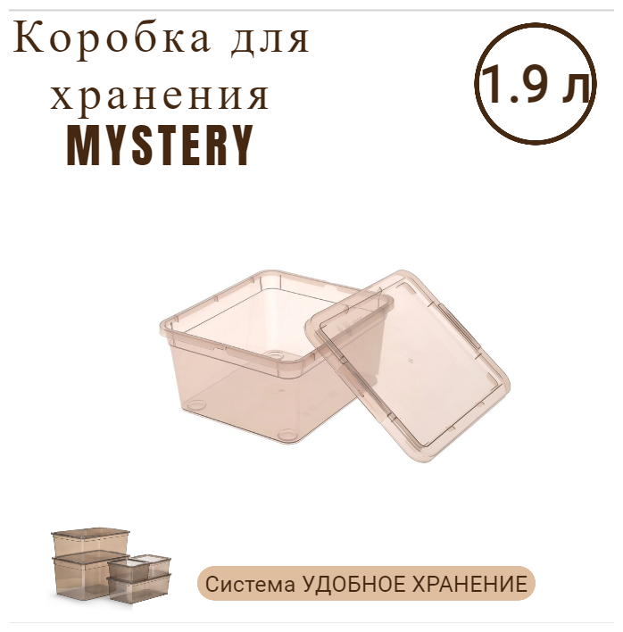 Коробка для хранения «MYSTERY» 19*16*9см, 1,9л - фотография № 3