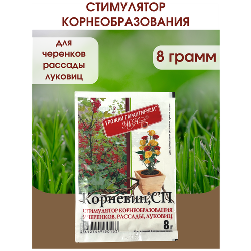 Корневин Стимулятор образования и роста корней, Упаковка - 8 гр.