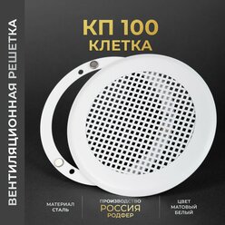 Вентиляционная решетка на магнитах 100x100 мм. (КП100 клетка БМ), металлическая, производство Родфер