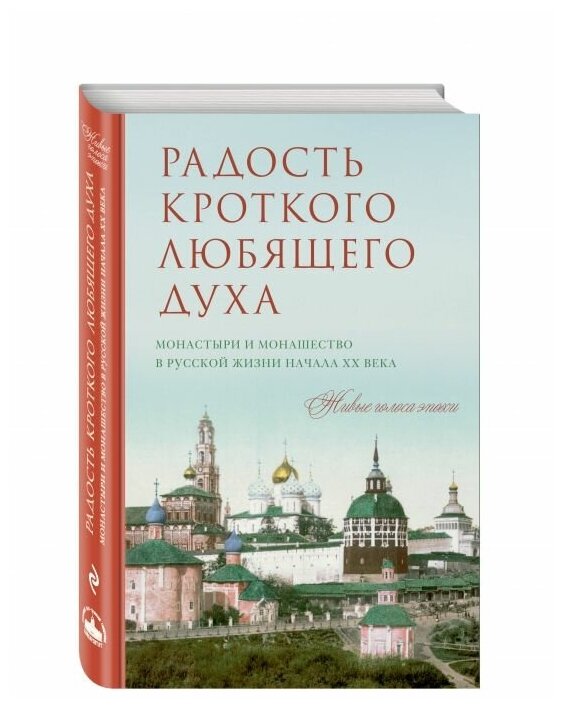 Радость кроткого любящего духа. Монастыри и монашество в русской жизни начала XX века - фото №15