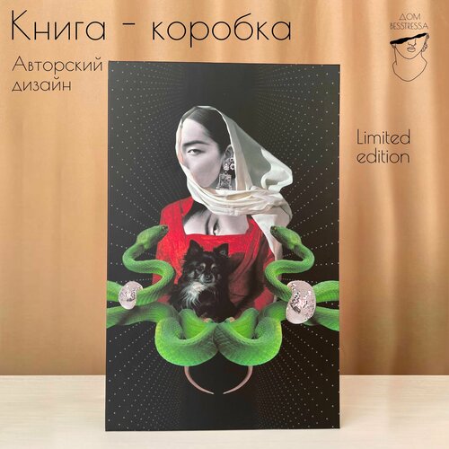 Коробка книга для хранения Дом Besstressa, 27 см