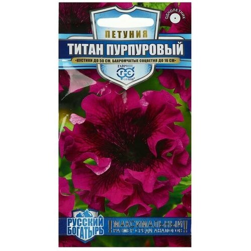 Семена цветов Петуния Титан пурпуровый, бахромчатый, серия Русский Богатырь, 7 семян / по 2 уп семена цветов петуния гавриш титан пурпуровый бахромчатый серия русский богатырь 10 шт 6 упаковок