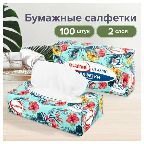 Салфетки косметические 100 шт. в картонном боксе 2-слойные, LAIMA "Everyday", 20х20 см, 113588