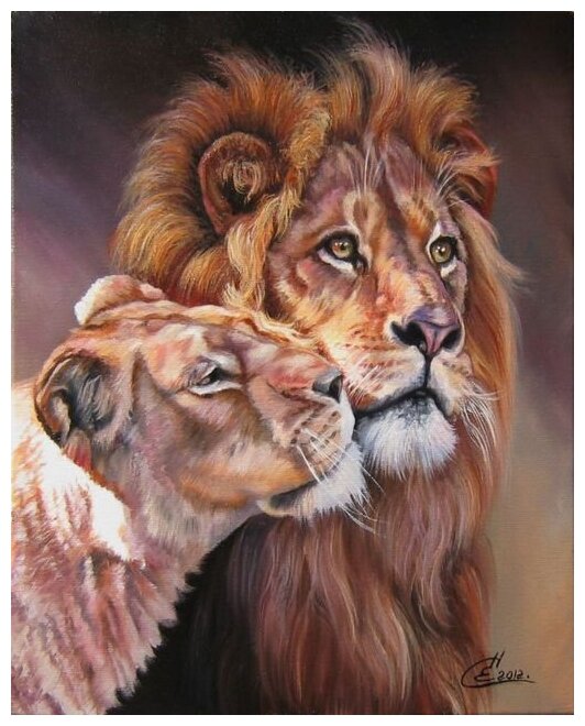 Набор для вышивания Лев и львица 40х50 см