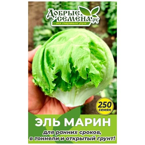 Семена салата Эль Марин - 250 шт - Добрые Семена. ру