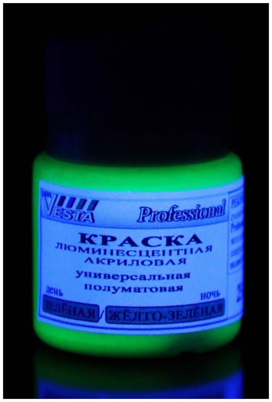 Краска люминесцентная "VESTA PROFESSIONAL" зеленая / желто-зеленая (день / ночь) - 100 мл