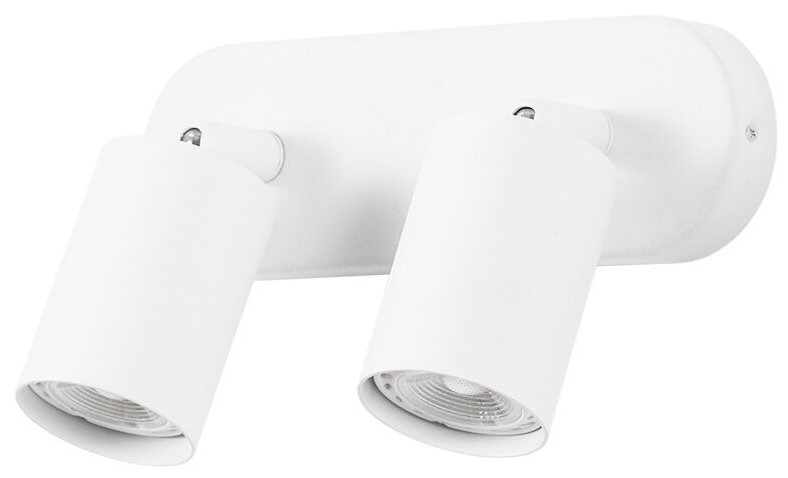 Светильник потолочный Arte lamp A3226PL-2WH AQUARIUS