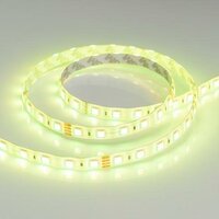 Светодиодная лента RTW 2-5000SE 24V RGB 2X (5060, 300 LED, LUX) (ARLIGHT, 14.4 ВТ/М, IP65) 60 LED на 1М