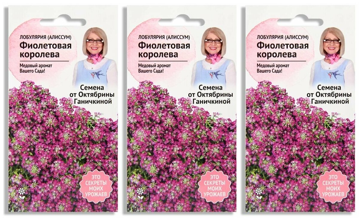Набор семян Алиссум (лобулярия) Фиолетовая королева 0.1 г - 3 уп.