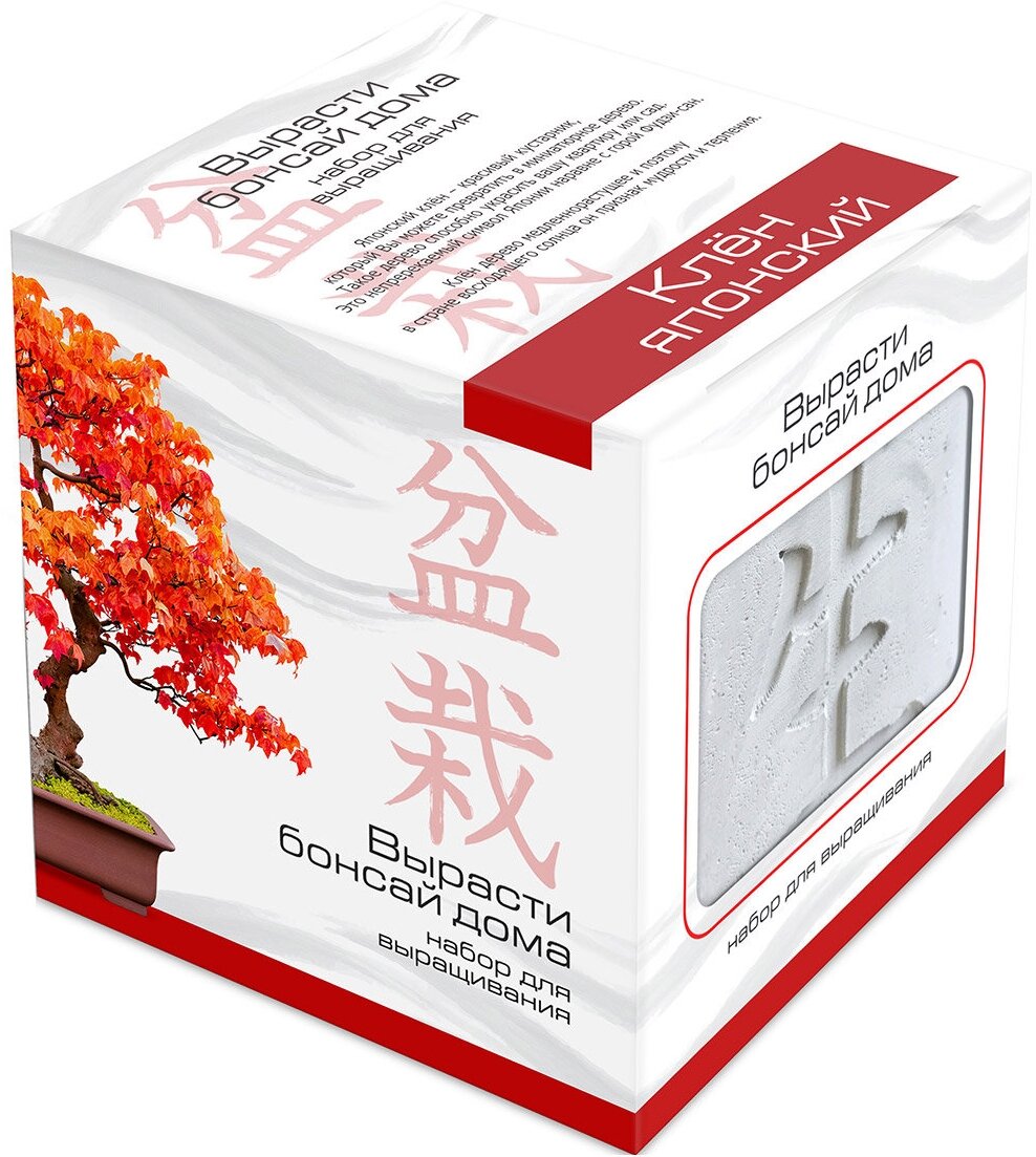 ЭкоКлуб Подарочный набор для выращивания бонсай домаклен японский, семена и грунт