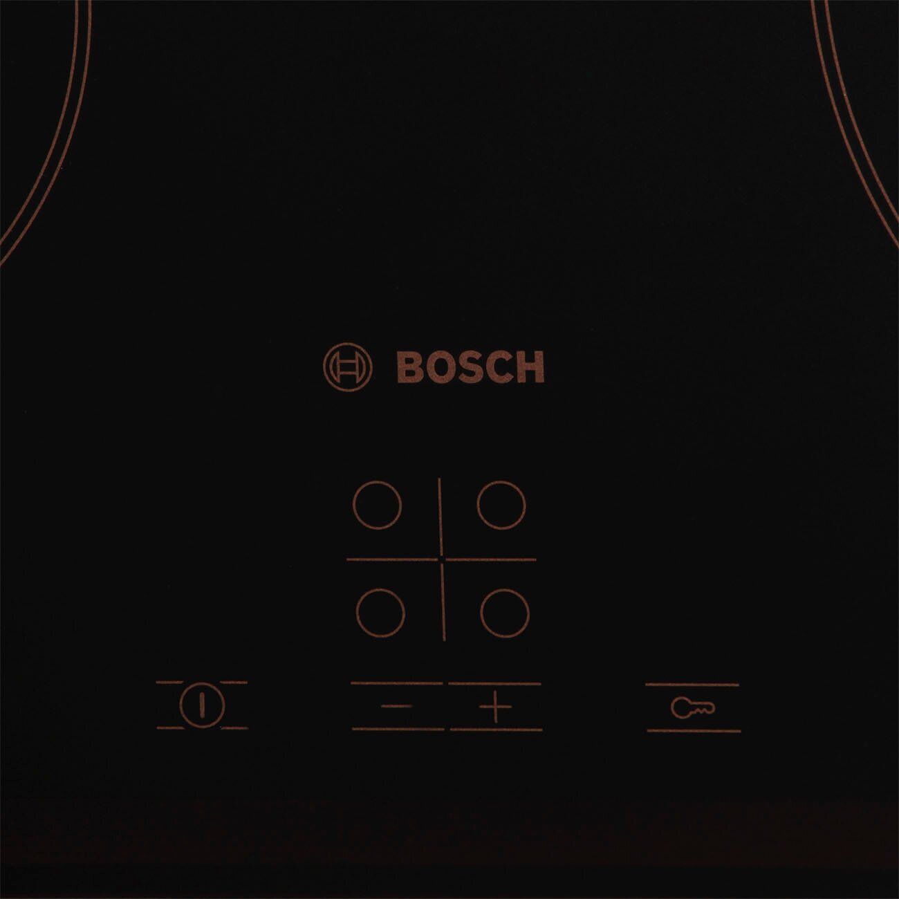Встраиваемая электрическая панель Bosch - фото №11