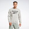 Фото #17 Свитшот Reebok RI FLC BIG LOGO CREW