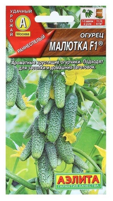 Семена Огурец "Малютка", F1, 10 шт