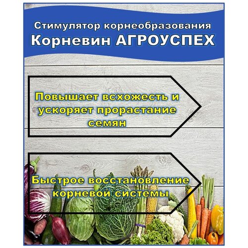 корневин агроуспех 10г шоу бокс 46486 Корневин Агроуспех 5 гр