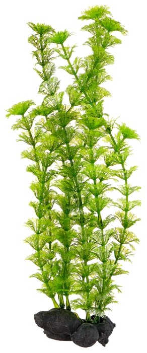 Искусственное растение Tetra Ambulia L