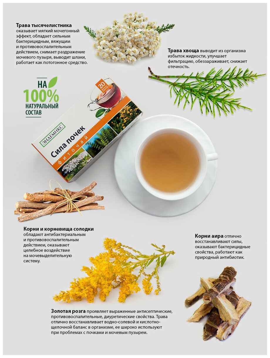 Травяной чай Эндемикс в пакетиках почечный, противовоспалительный, мочегонный для почек и мочеполовой системы,детокс, 20 шт. - фотография № 3
