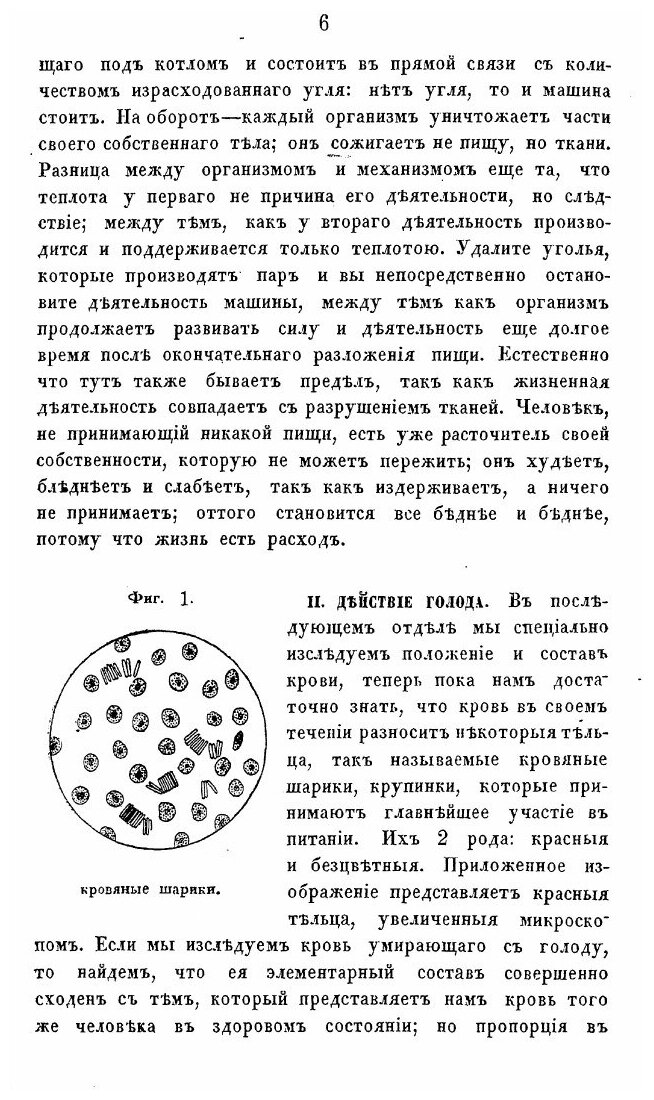 Книга Физиология Обыденной Жизни, Издание Второе - фото №7