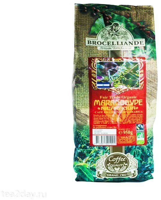 Кофе в зернах Brocelliande Maragogype Nicaragua, 950 гр. - фотография № 8