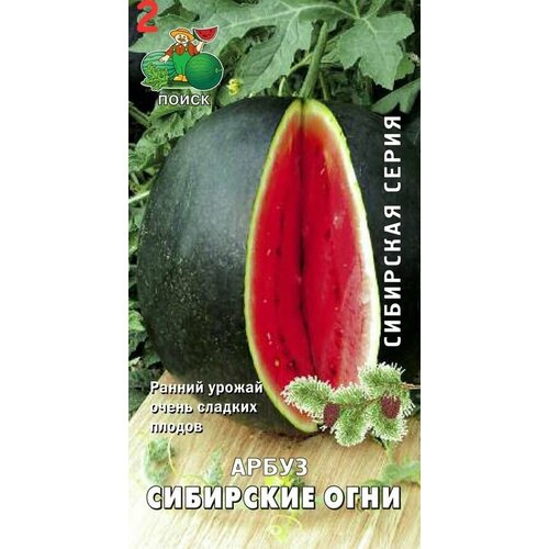 Семена Арбуз Сибирские огни 3 г (2 шт.) семена арбуз триумф 1 г 3 шт