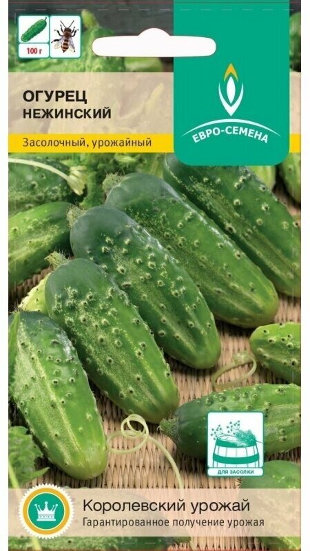 Огурец Нежинский. Семена. 1 пакет-05 гр. Среднеспелый сорт для открытого грунта. Зеленцы короткие массой 80-110 гр.
