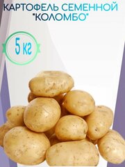 Картофель семенной Коломбо, 5 кг, урожайный сорт раннего созревания, долго хранится, хорошо переносит транспортировку, не рассыпается в процессе варки.