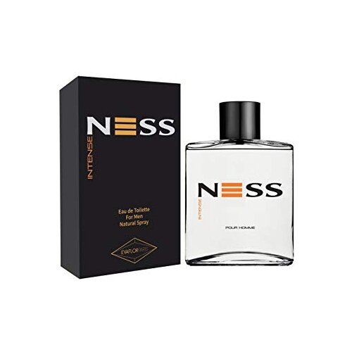 Parfums Evaflor Мужской Ness Intense Туалетная вода (edt) 100мл