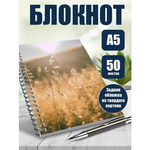 Тетрадь в клетку Эстетика лета