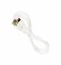 Cable / Кабель USB HOCO X37 Cool для Type-C, 3.0 A, длина 1.0 м, ...