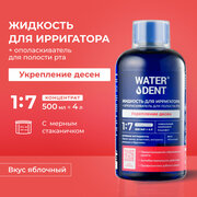 Жидкость для ирригатора+ополаскиватель WATERDENT / Eжедневный уход / Укрепление дёсен / актив / 500 мл