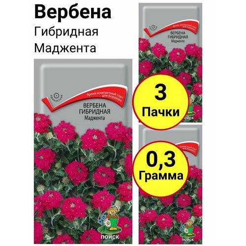 Вербена гибридная Маджента Однолетник 0,1 грамм, Поиск - 3 пачки астра аполлония восход и закат однолетник 0 3 грамм поиск 3 пачки