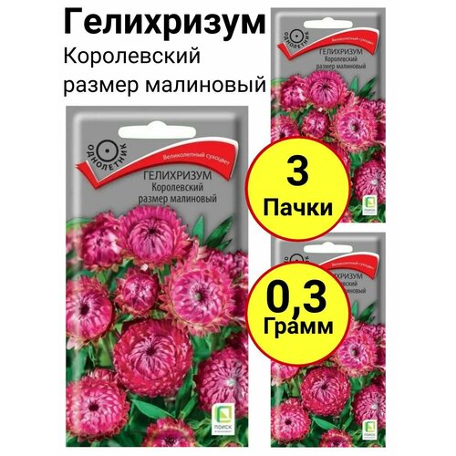 Гелихризум Королевский размер малиновый Однолетник 0,1 грамм, Поиск - 3 пачки семена гелихризум королевский размер малиновый 0 1 грамма семян поиск