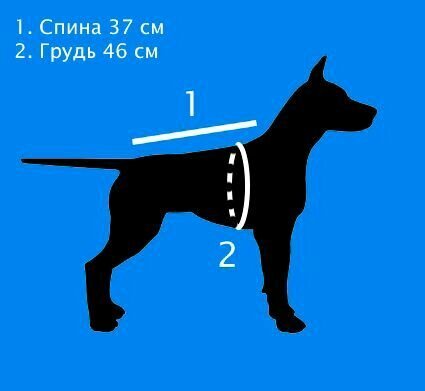 Дождевик для маленьких собак Limargy "Street Style", девочка, XL, спина 37 см, грудь 46 см - фотография № 4