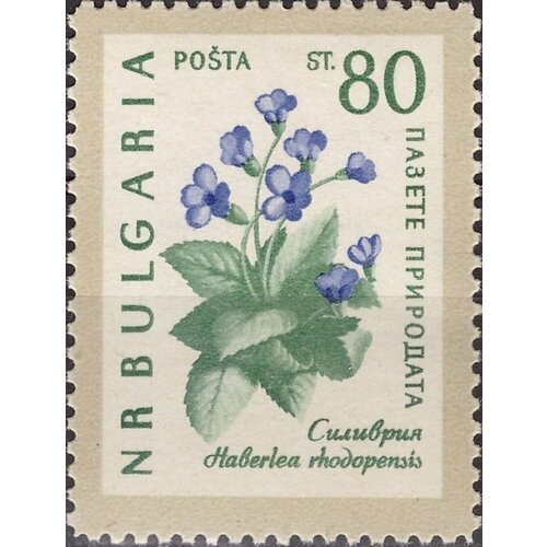 (1960-031) Марка Болгария Хаберлея родопская Охрана природы. Цветы III Θ 1960 013 марка болгария лыжник iii θ