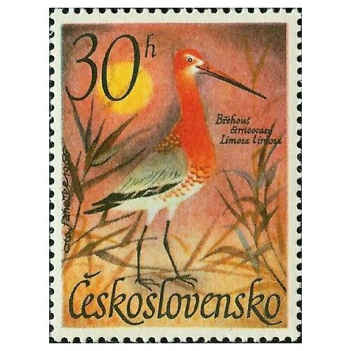 (1967-008) Марка Чехословакия Большой Веретенник  Водоплавающие птицы III Θ