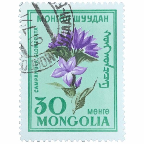 Почтовая марка Монголия 30 мунгу 1960 г. Стандартные марки. Цветы (3) почтовая марка монголия 30 мунгу 1960 г газеты серия 40 лет монгольской прессе