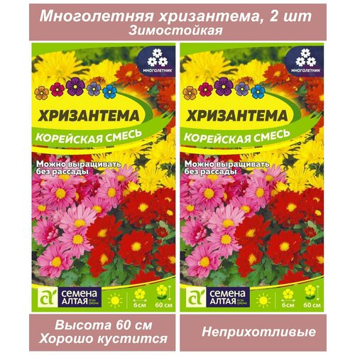 Набор семян, семена многолетних цветов Хризантема семена многолетников набор семян многолетних цветов