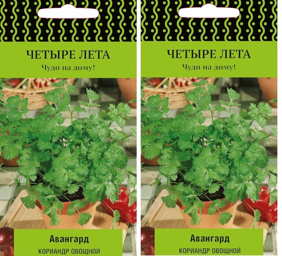 Набор. Семена Кориандр (кинза) Авангард 1 г  2 пакетика * 1 г