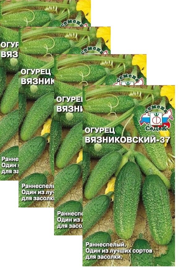 Семена Огурец Вязниковский-37 05 г (СеДеК)  4 пакетика * 05 г