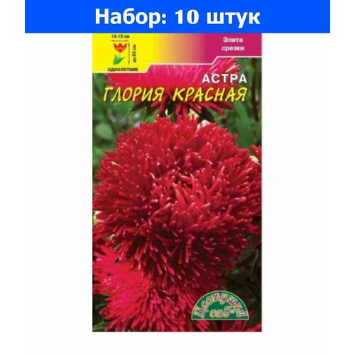 Астра Глория Красная хризантемовидная 0,2г Одн 80см (Цвет сад) - 10 пачек семян