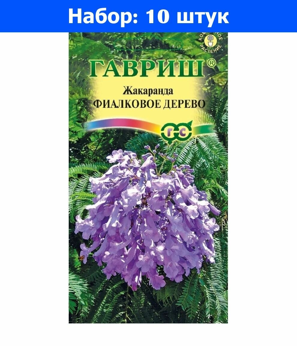 Жакаранда Фиалковое дерево 3шт Комн 300см (Гавриш) - 10 пачек семян